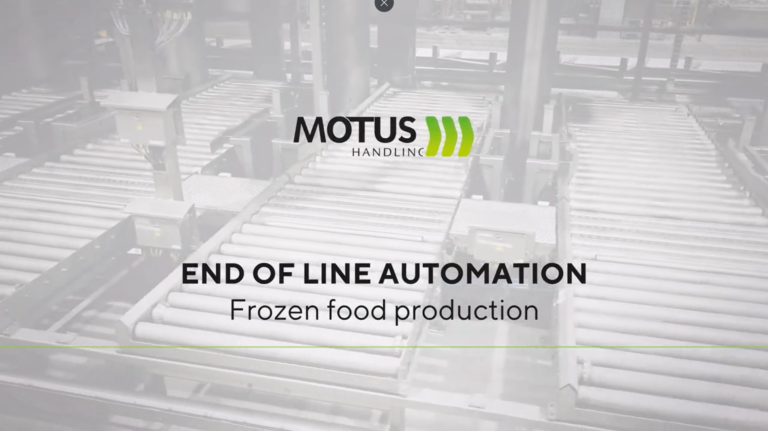 Video Frozen Food Screenshot
